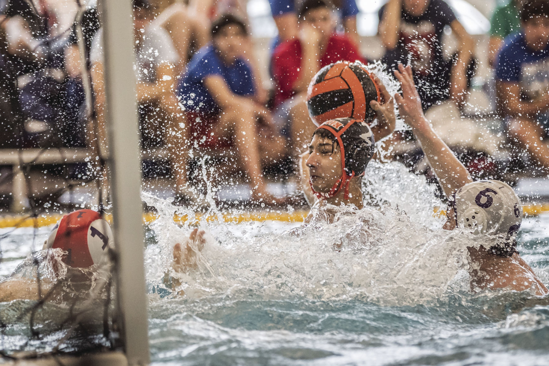 AHS Water Polo Teams to compete at regionals